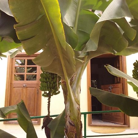 Casa Rural Llano Campo Эрмигва Экстерьер фото