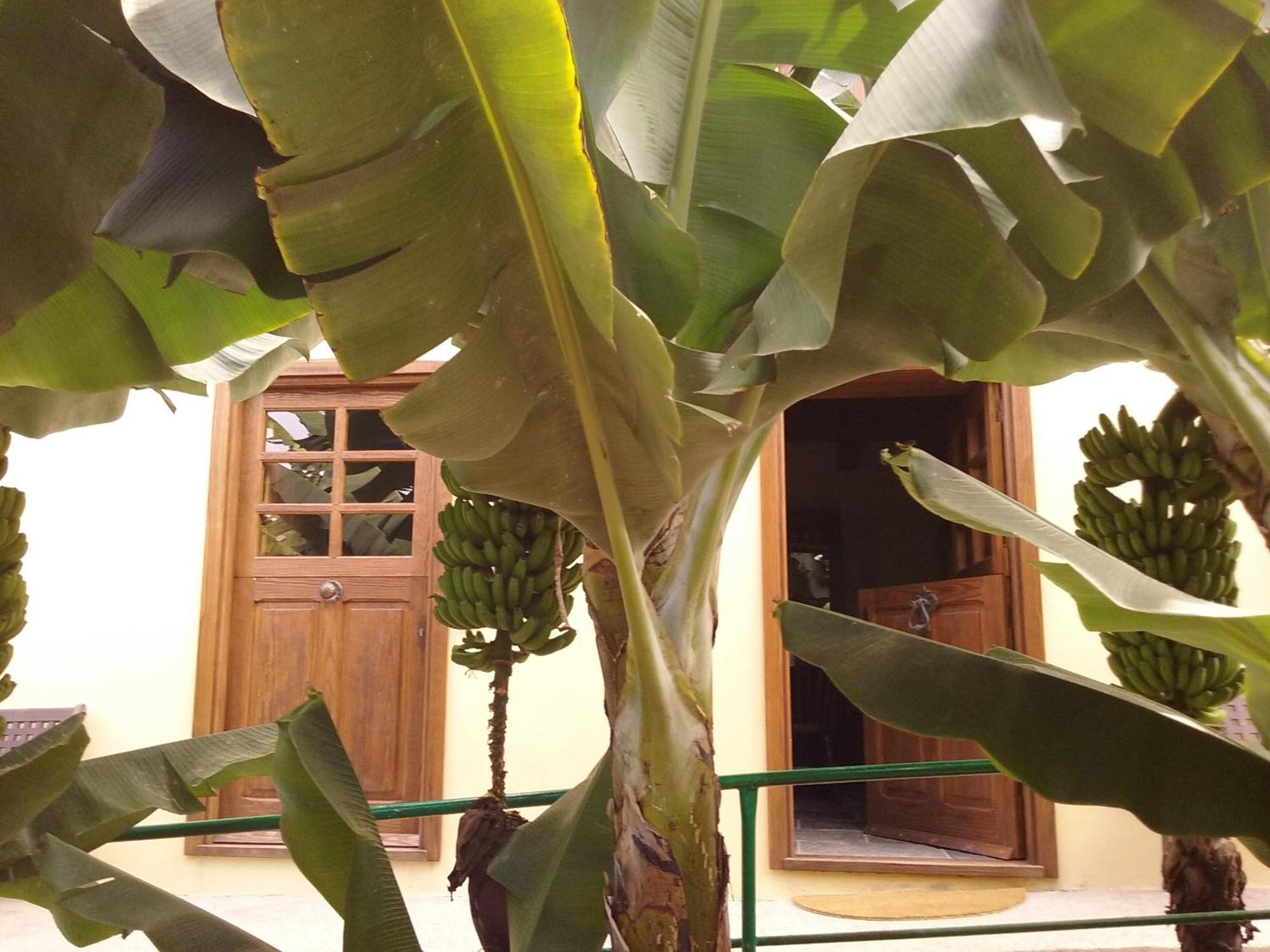 Casa Rural Llano Campo Эрмигва Экстерьер фото